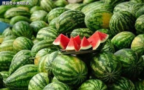 网上吃瓜的网站