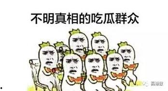 一个吃瓜群众的自我修养